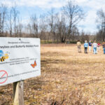 In danger: A guide to supporting pollinators Pollinator Partnership workshop