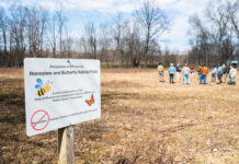 In danger: A guide to supporting pollinators Pollinator Partnership workshop