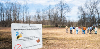 In danger: A guide to supporting pollinators Pollinator Partnership workshop