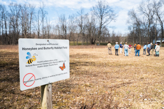 Pollinator Partnership workshop
