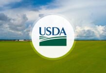 After uncertainty, USDA ends Partnerships for Climate-Smart Commodities