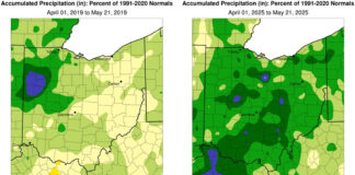 Considerations for delayed planting weather maps