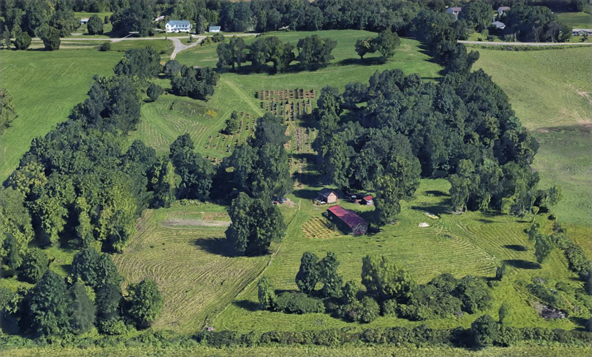 Adolph Tree Farm 2017