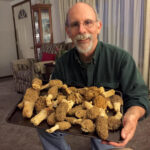 A mess of morels Duane Bailey