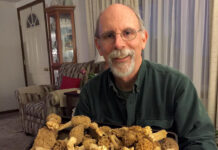 A mess of morels Duane Bailey