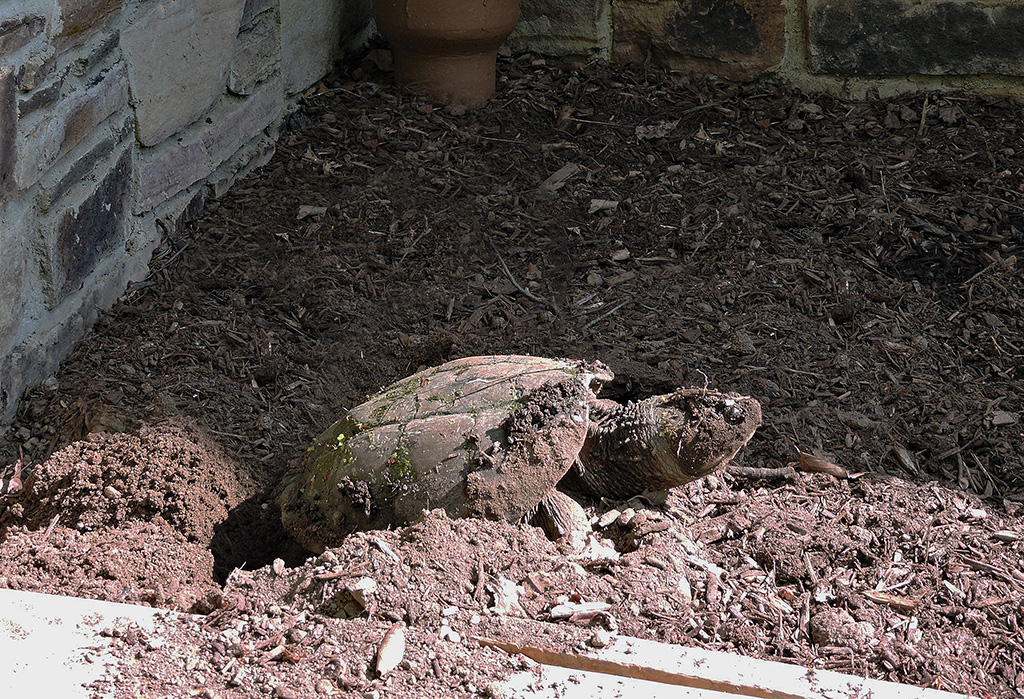 Female outside nature center