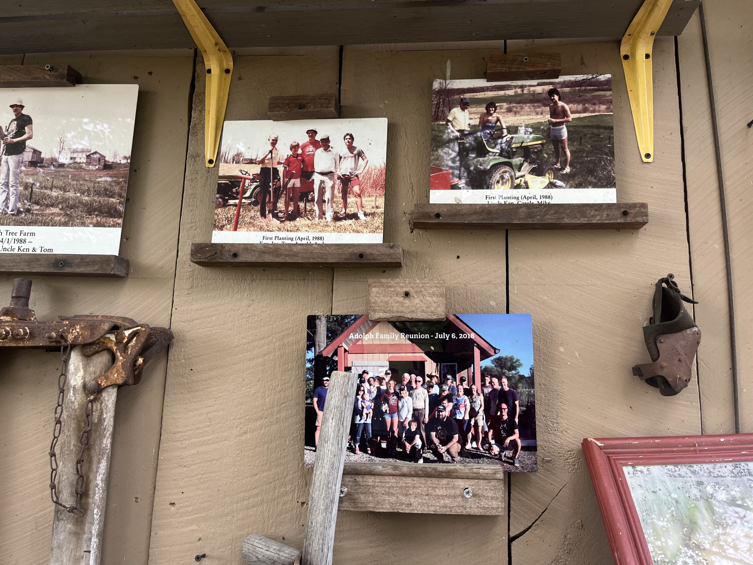 Historic Adolph Tree Farm Photos