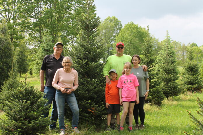 adolph family by trees adolph family by trees