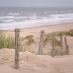 Exploring Mother Nature’s bountiful gifts with loved ones beach