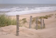 Exploring Mother Nature’s bountiful gifts with loved ones beach