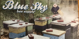 blue sky bee supply