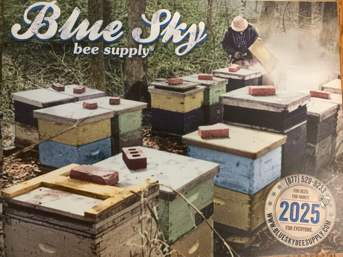 blue sky bee supply