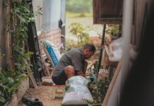 Spring tree planting: Growing roots for the future gardener