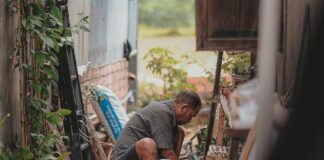 Spring tree planting: Growing roots for the future gardener