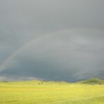 The return of rain shows us that Mother Nature has her own plans prairie rainbow