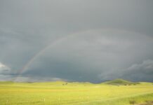 The return of rain shows us that Mother Nature has her own plans prairie rainbow