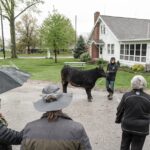 The last farm in Parma, Ohio is giving city kids a chance to be in agriculture