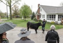 The last farm in Parma, Ohio is giving city kids a chance to be in agriculture