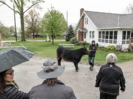 The last farm in Parma, Ohio is giving city kids a chance to be in agriculture