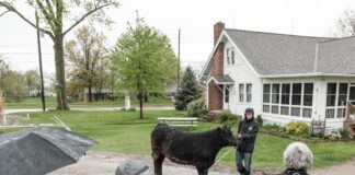 The last farm in Parma, Ohio is giving city kids a chance to be in agriculture