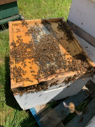 splitting a hive