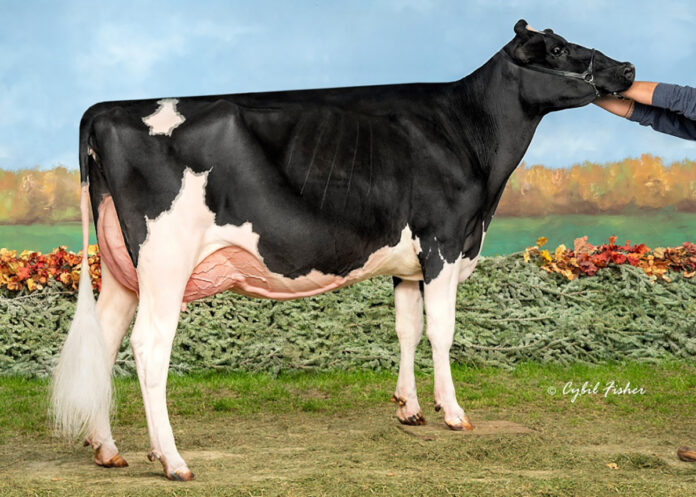 star of breed ohio star of breed ohio