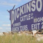 Ohio rancher uses cattle IQ tests to improve Texas Longhorn herds