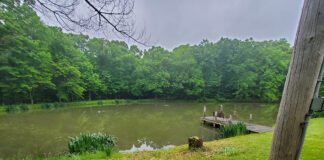 Prevent a fish kill in your pond pond