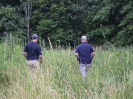 Why April showers and wetlands matter for our groundwater