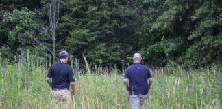 Why April showers and wetlands matter for our groundwater