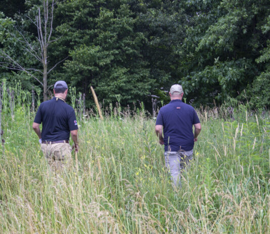 Why April showers and wetlands matter for our groundwater