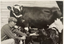 Gordon Schiller Withers