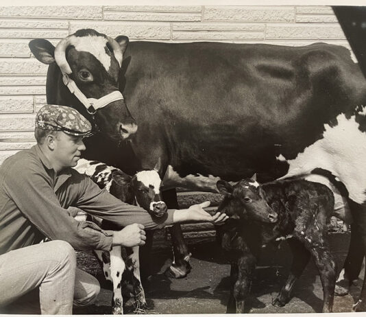 Gordon Schiller Withers