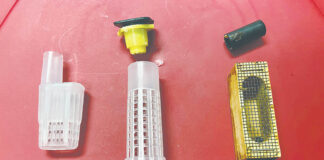 How to introduce new queens to your hive