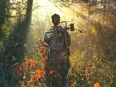 bow hunter bow hunter