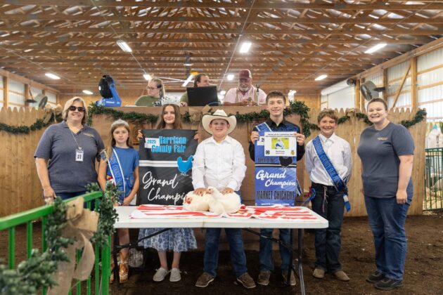 GRAND CHAMPION MARKET CHICKENS