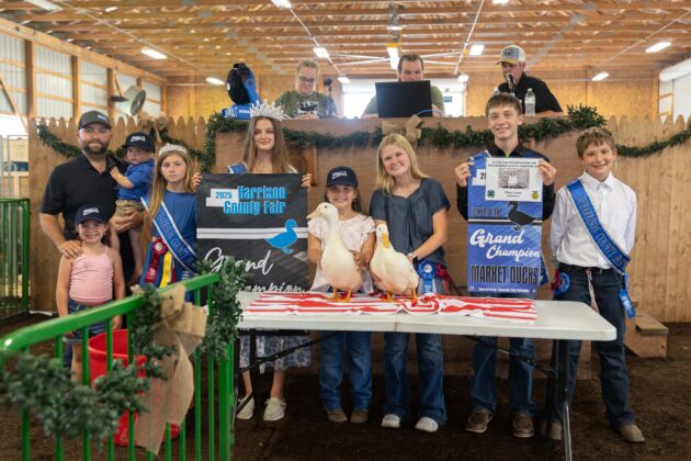 GRAND CHAMPION MARKET DUCKS