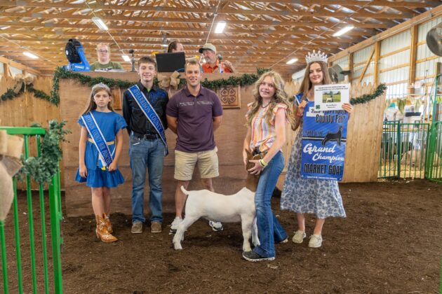 GRAND CHAMPION MARKET GOAT