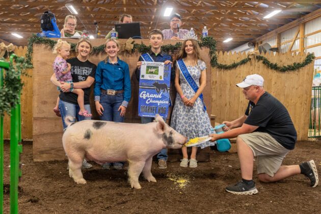 GRAND CHAMPION MARKET HOG