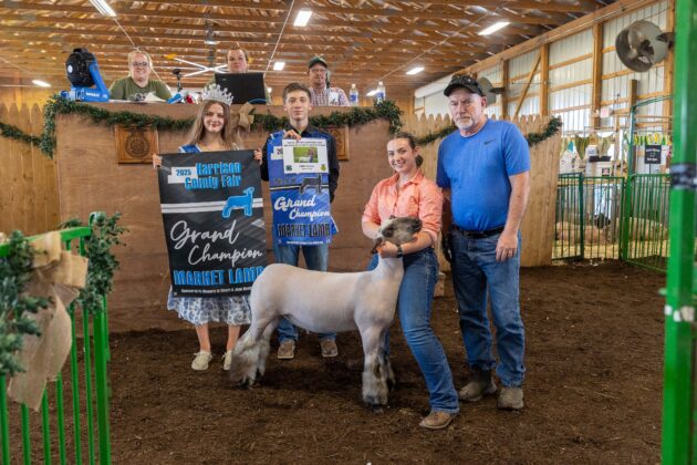 GRAND CHAMPION MARKET LAMB