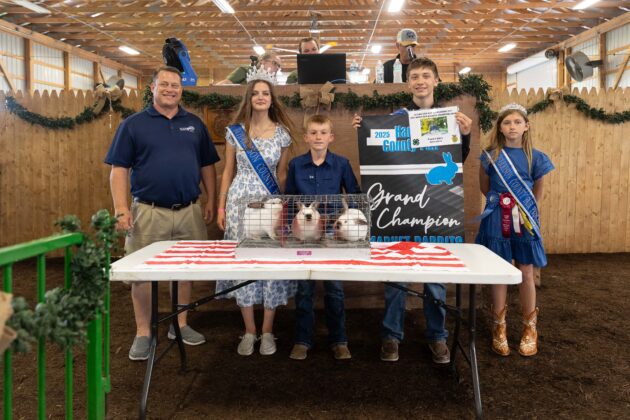 GRAND CHAMPION MARKET RABBITS