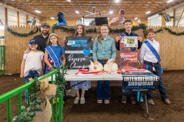 RESERVE CHAMPION MARKET CHICKENS