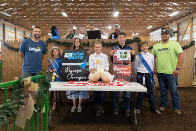 RESERVE CHAMPION MARKET DUCKS