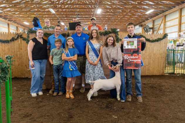 RESERVE CHAMPION MARKET GOAT