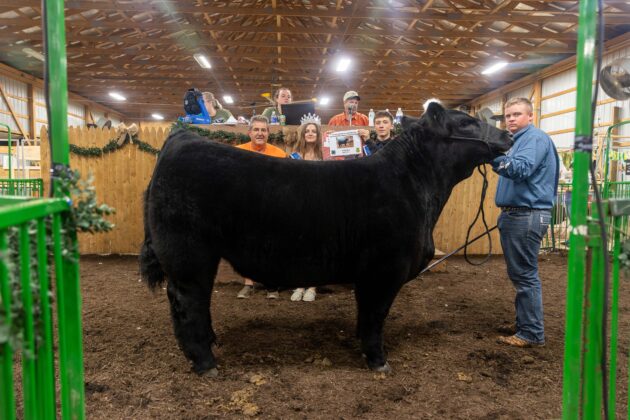 RESERVE CHAMPION MARKET BEEF