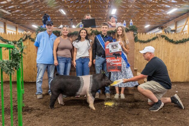 RESERVE CHAMPION MARKET HOG