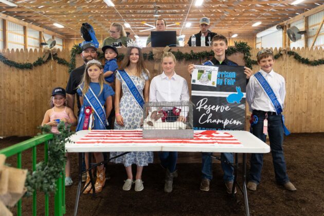 RESERVE CHAMPION MARKET RABBIT