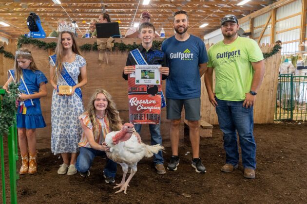 RESERVE CHAMPION MARKET TURKEY