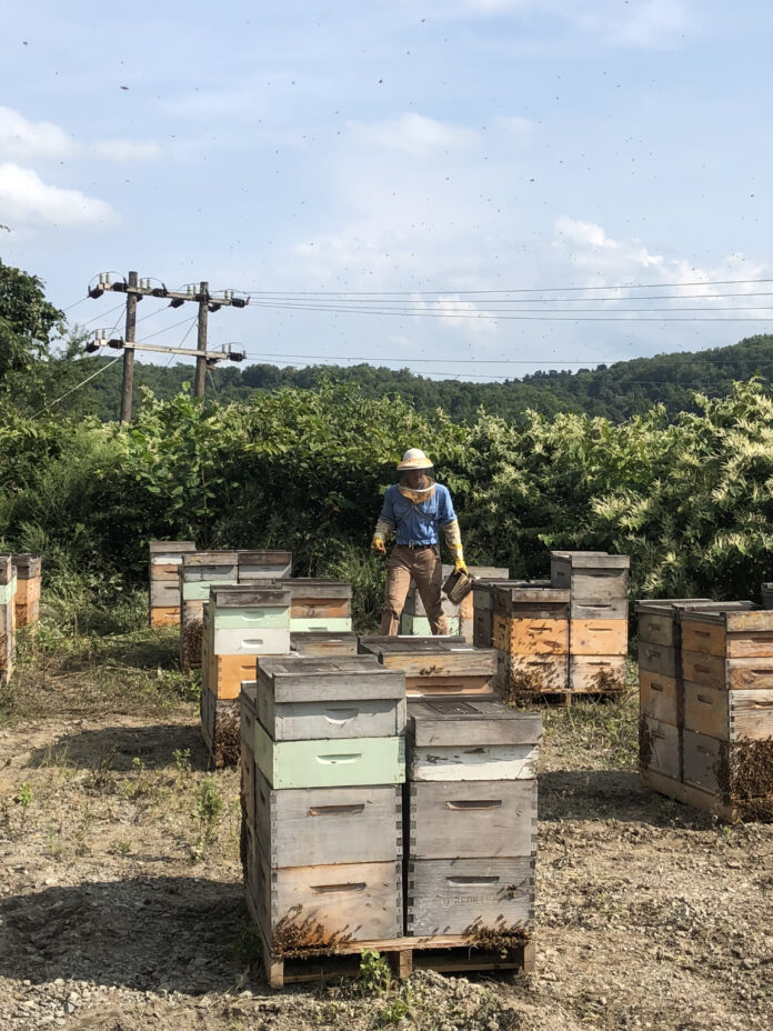 mark bedillion mark bedillion