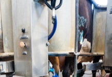 How to understand your milk quality report Vale Wood Farms